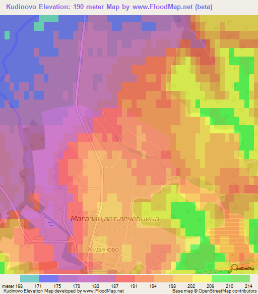 Kudinovo,Russia Elevation Map