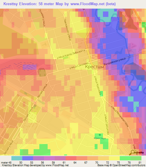 Kresttsy,Russia Elevation Map