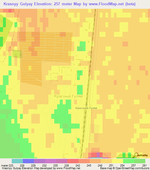 Krasnyy Gulyay,Russia Elevation Map