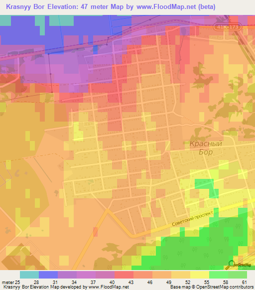 Krasnyy Bor,Russia Elevation Map