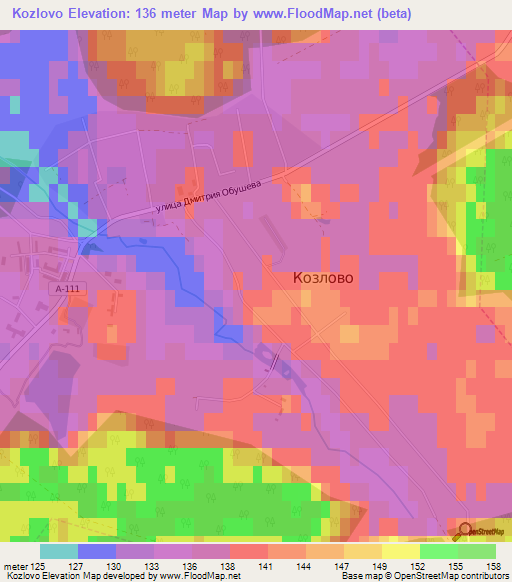 Kozlovo,Russia Elevation Map