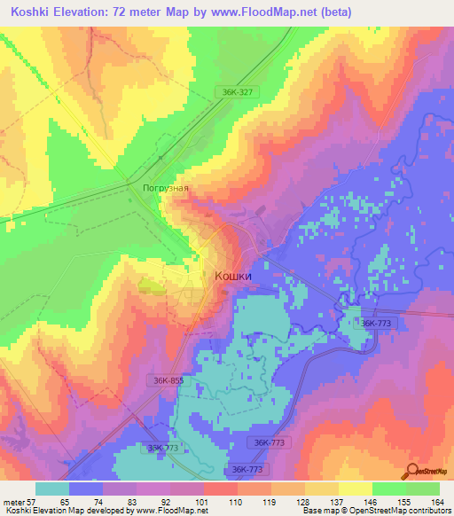 Koshki,Russia Elevation Map