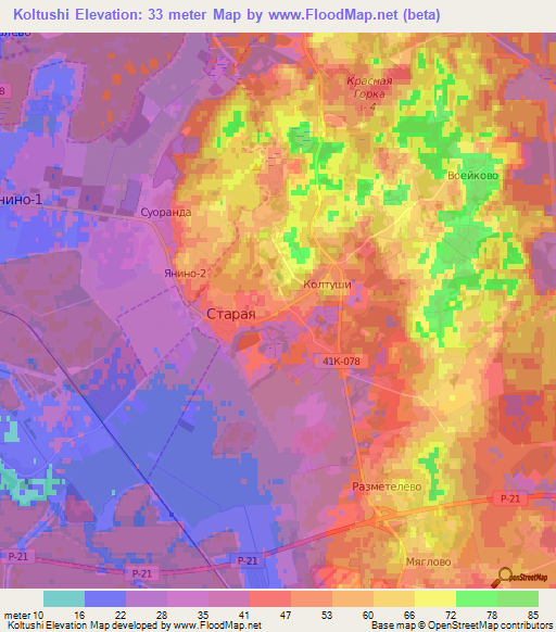 Koltushi,Russia Elevation Map