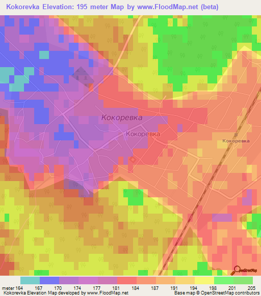 Kokorevka,Russia Elevation Map