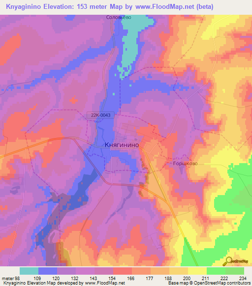 Knyaginino,Russia Elevation Map