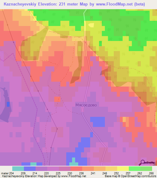 Kaznacheyevskiy,Russia Elevation Map