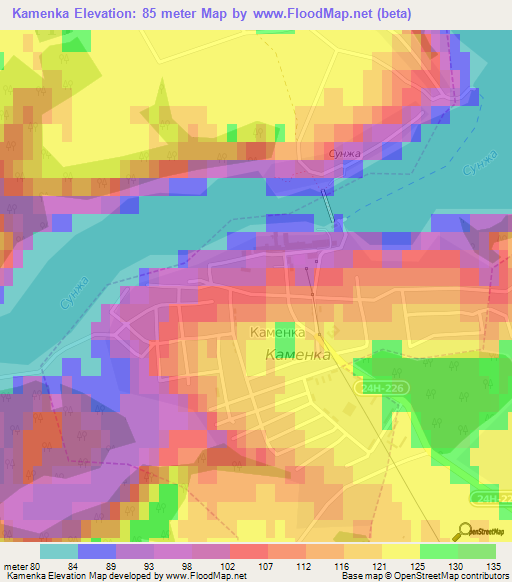 Kamenka,Russia Elevation Map