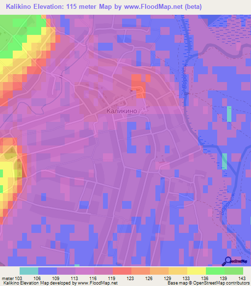 Kalikino,Russia Elevation Map