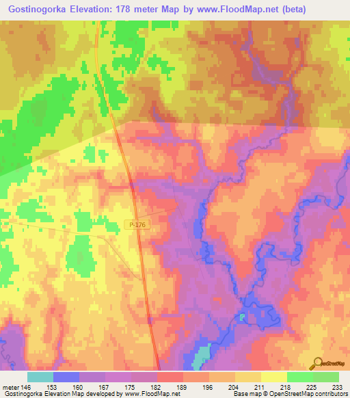 Gostinogorka,Russia Elevation Map