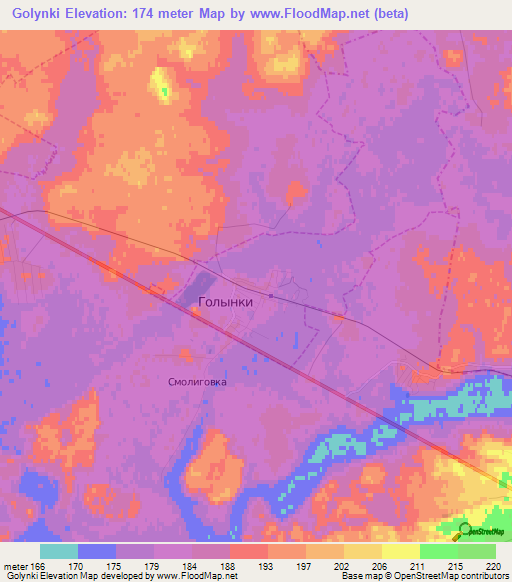 Golynki,Russia Elevation Map