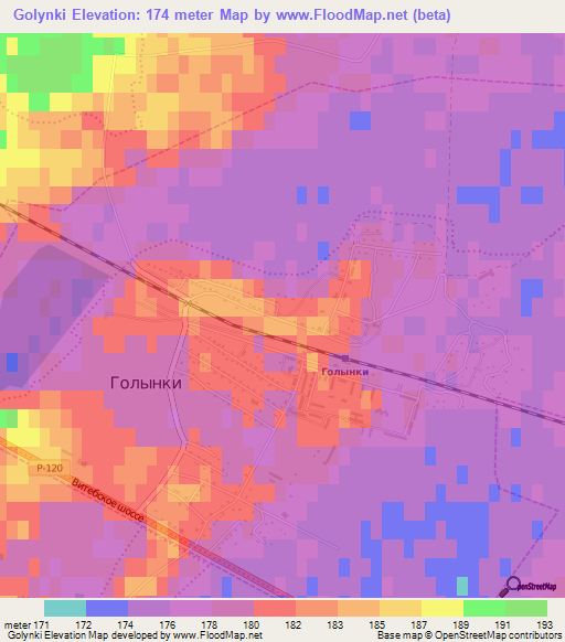 Golynki,Russia Elevation Map