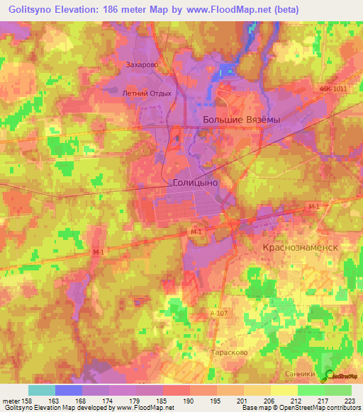 Golitsyno,Russia Elevation Map