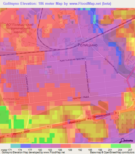 Golitsyno,Russia Elevation Map