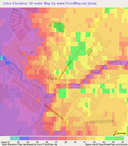 Gdov,Russia Elevation Map