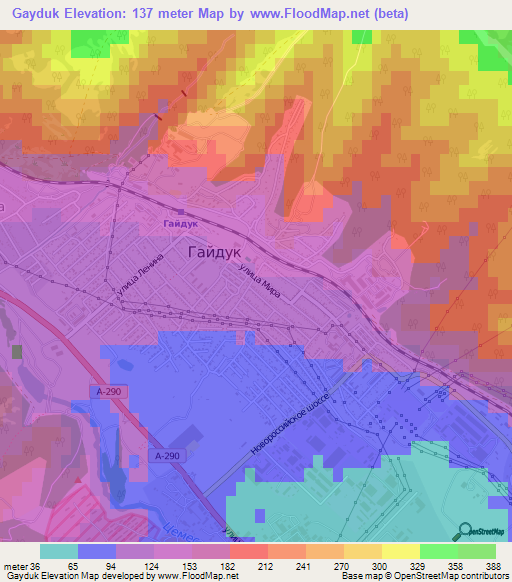 Gayduk,Russia Elevation Map