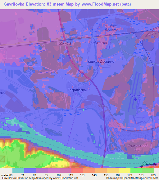 Gavrilovka,Russia Elevation Map