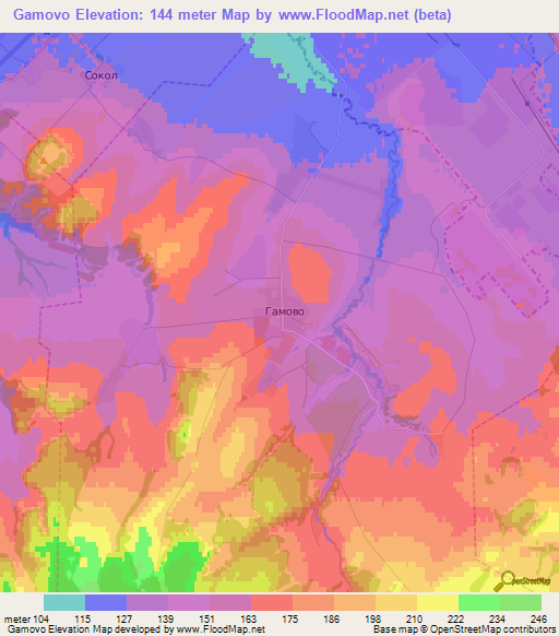 Gamovo,Russia Elevation Map