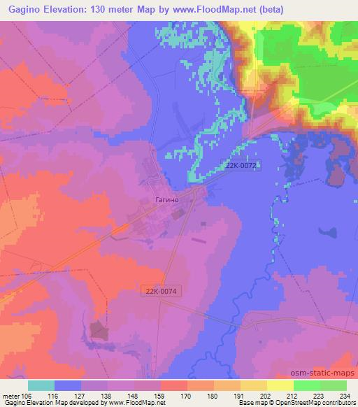 Gagino,Russia Elevation Map