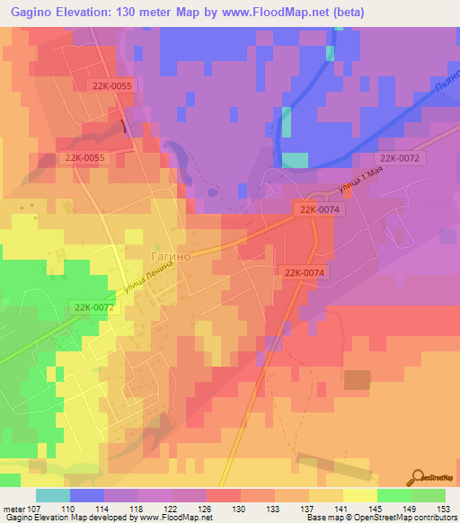 Gagino,Russia Elevation Map