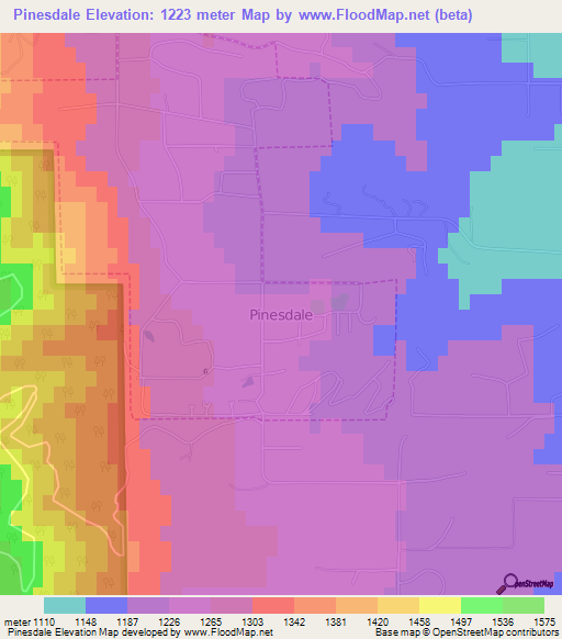 Pinesdale,US Elevation Map