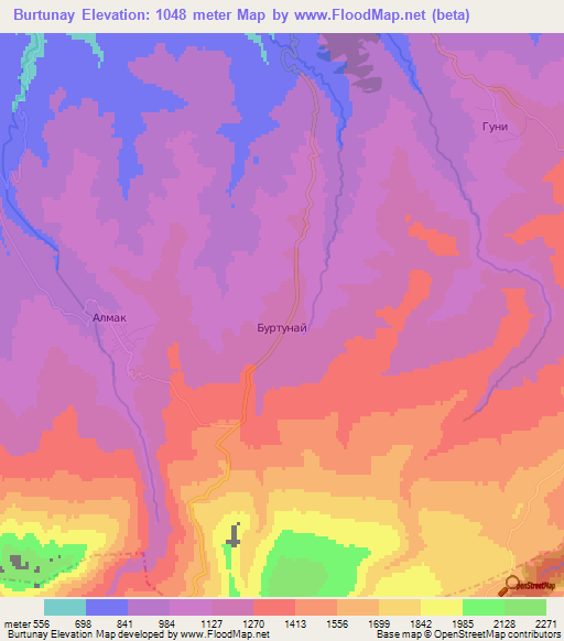 Burtunay,Russia Elevation Map