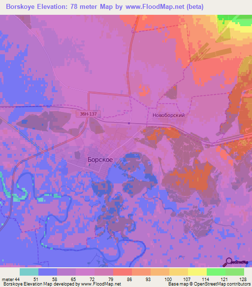 Borskoye,Russia Elevation Map