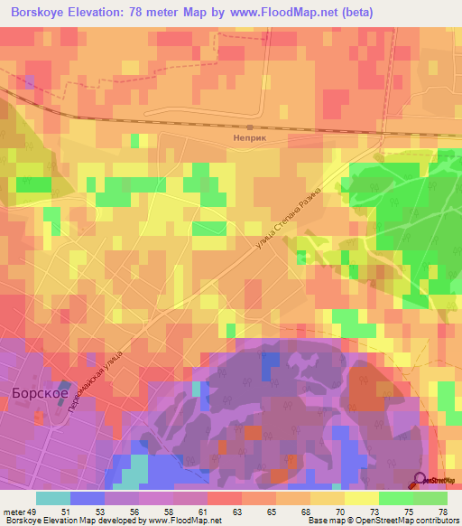 Borskoye,Russia Elevation Map