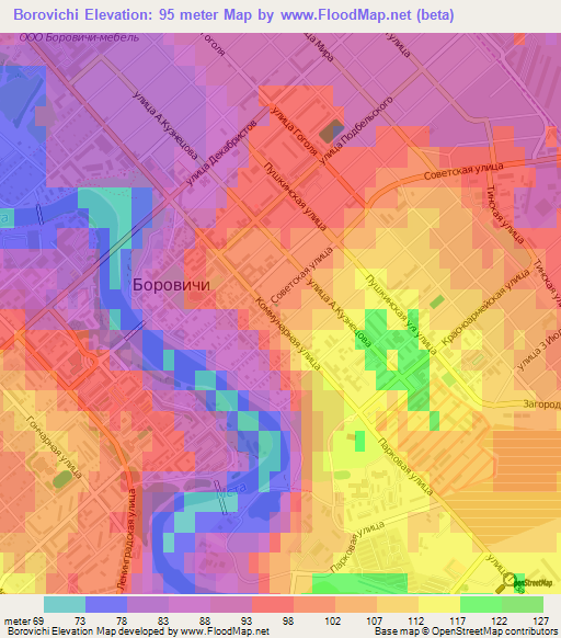 Borovichi,Russia Elevation Map