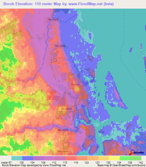 Borok,Russia Elevation Map