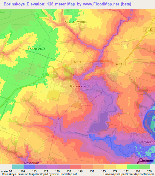 Borinskoye,Russia Elevation Map