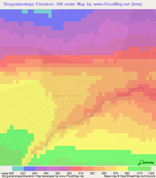 Borgustanskaya,Russia Elevation Map