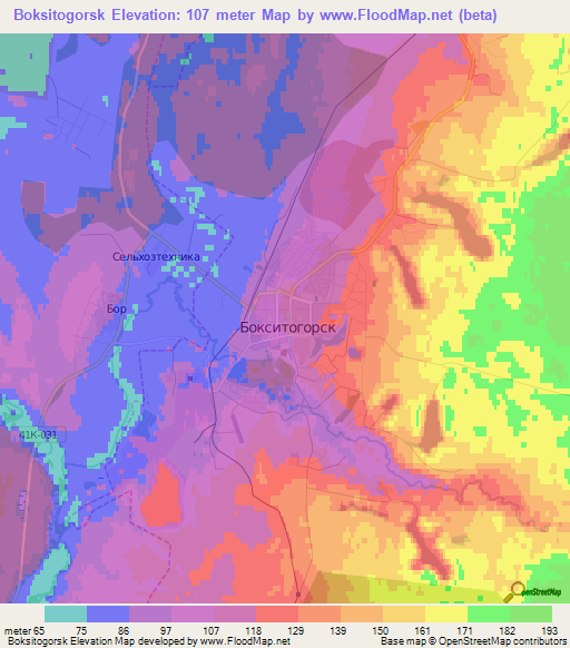 Boksitogorsk,Russia Elevation Map