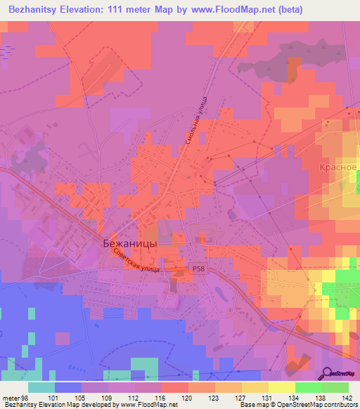 Bezhanitsy,Russia Elevation Map