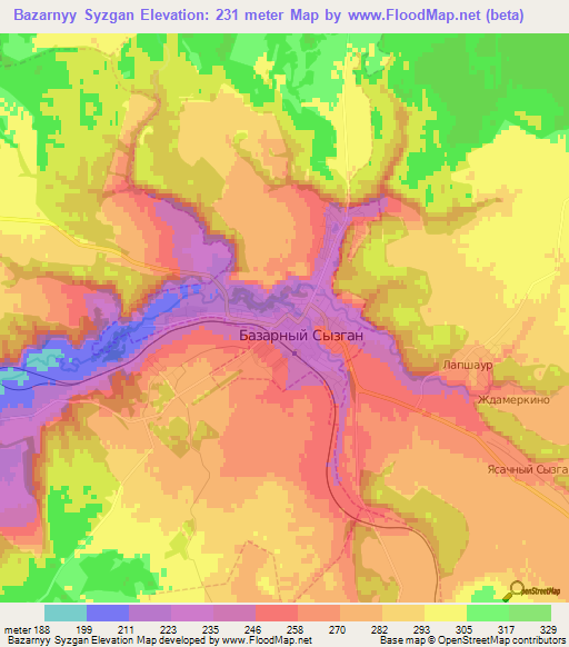 Bazarnyy Syzgan,Russia Elevation Map