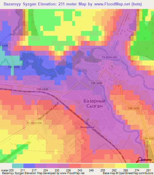 Bazarnyy Syzgan,Russia Elevation Map