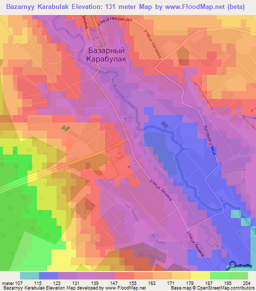 Bazarnyy Karabulak,Russia Elevation Map