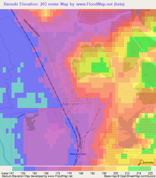 Barsuki,Russia Elevation Map