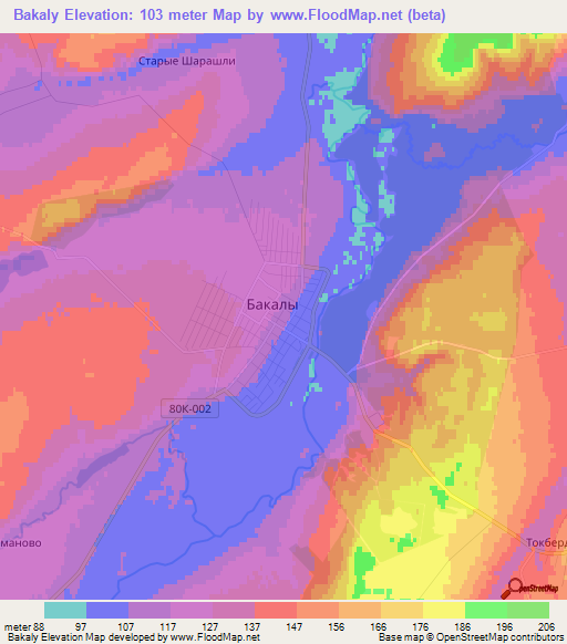 Bakaly,Russia Elevation Map