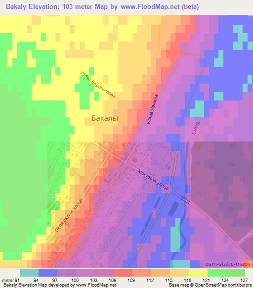 Bakaly,Russia Elevation Map