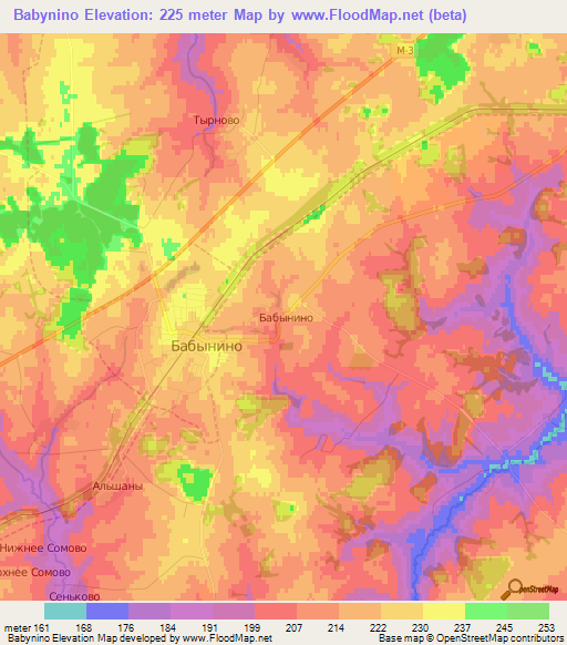 Babynino,Russia Elevation Map