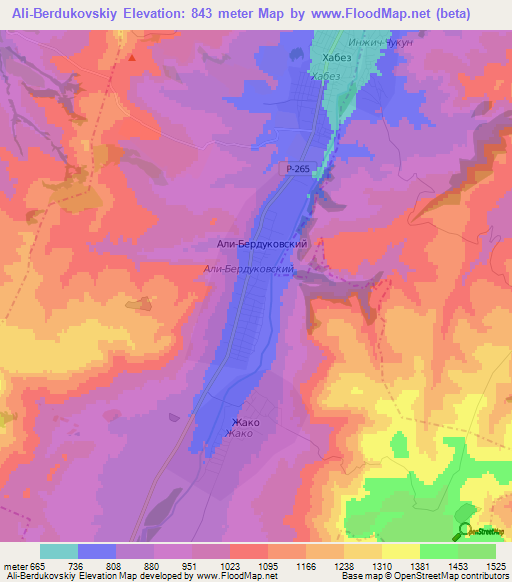 Ali-Berdukovskiy,Russia Elevation Map