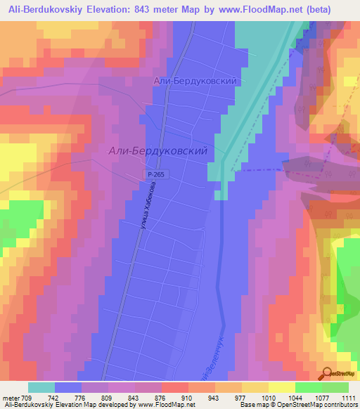 Ali-Berdukovskiy,Russia Elevation Map