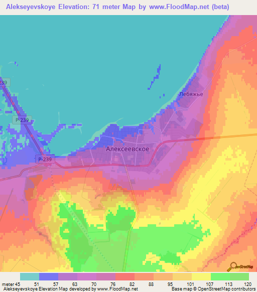 Alekseyevskoye,Russia Elevation Map