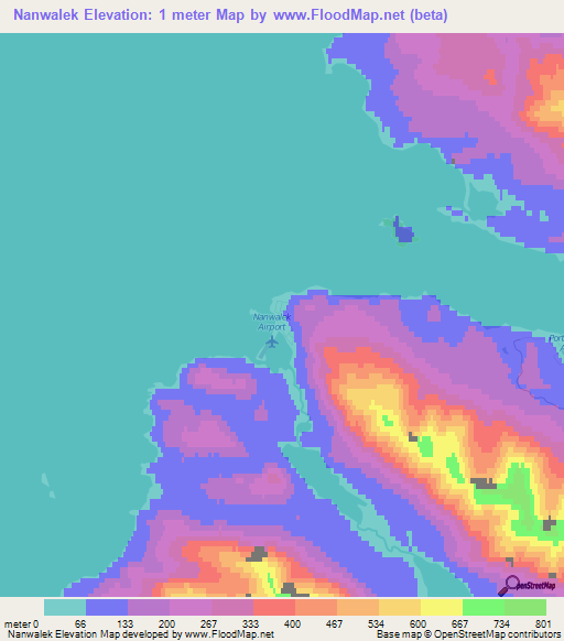 Nanwalek,US Elevation Map