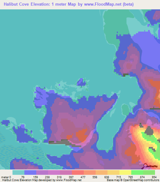 Halibut Cove,US Elevation Map