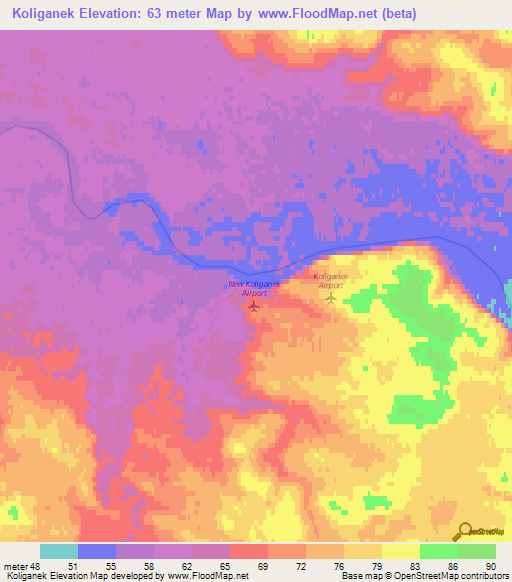 Koliganek,US Elevation Map