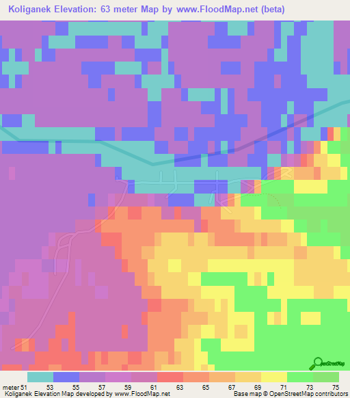 Koliganek,US Elevation Map