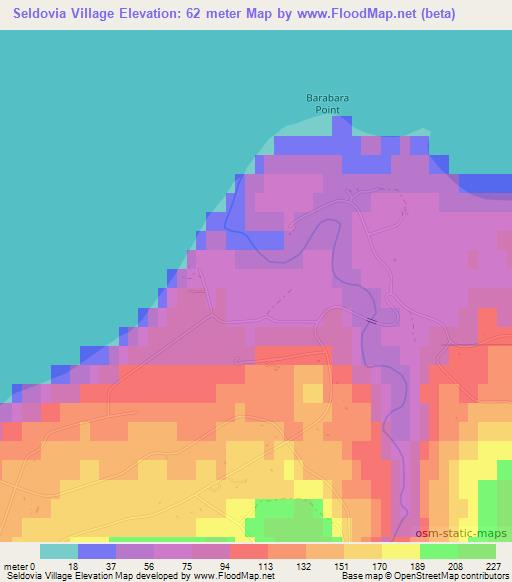 Seldovia Village,US Elevation Map