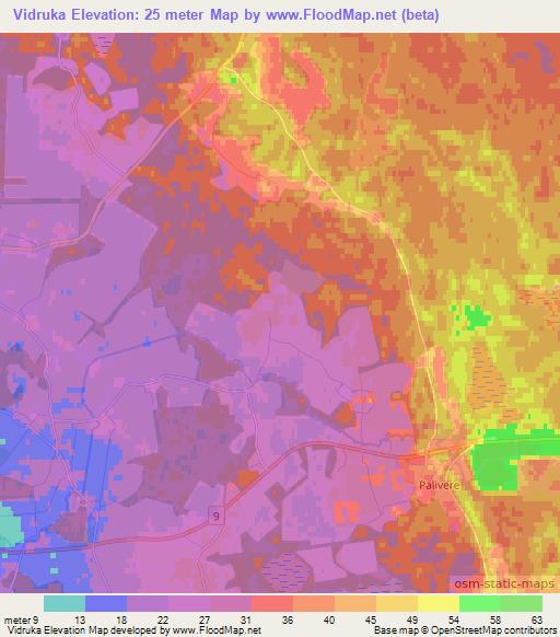 Vidruka,Estonia Elevation Map