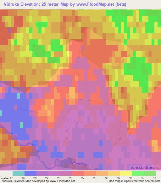 Vidruka,Estonia Elevation Map